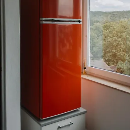 „dachblick“ In פרוידנברג