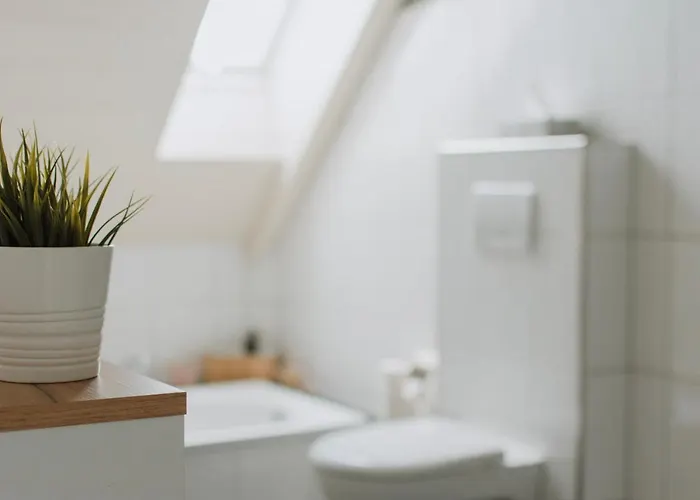 „dachblick“ In Freudenberg (North Rhine-Westphalia)