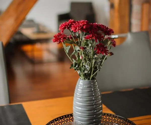 Lejlighed „dachblick“ In Freudenberg (North Rhine-Westphalia)